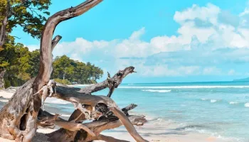 Nature and Leisure Andaman